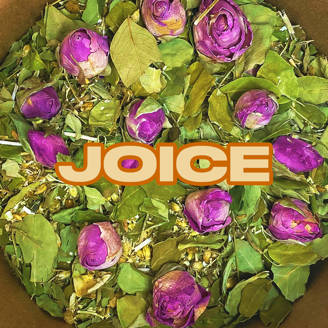 Tisane Moringa et Rose - Antioxydant & Tonus
