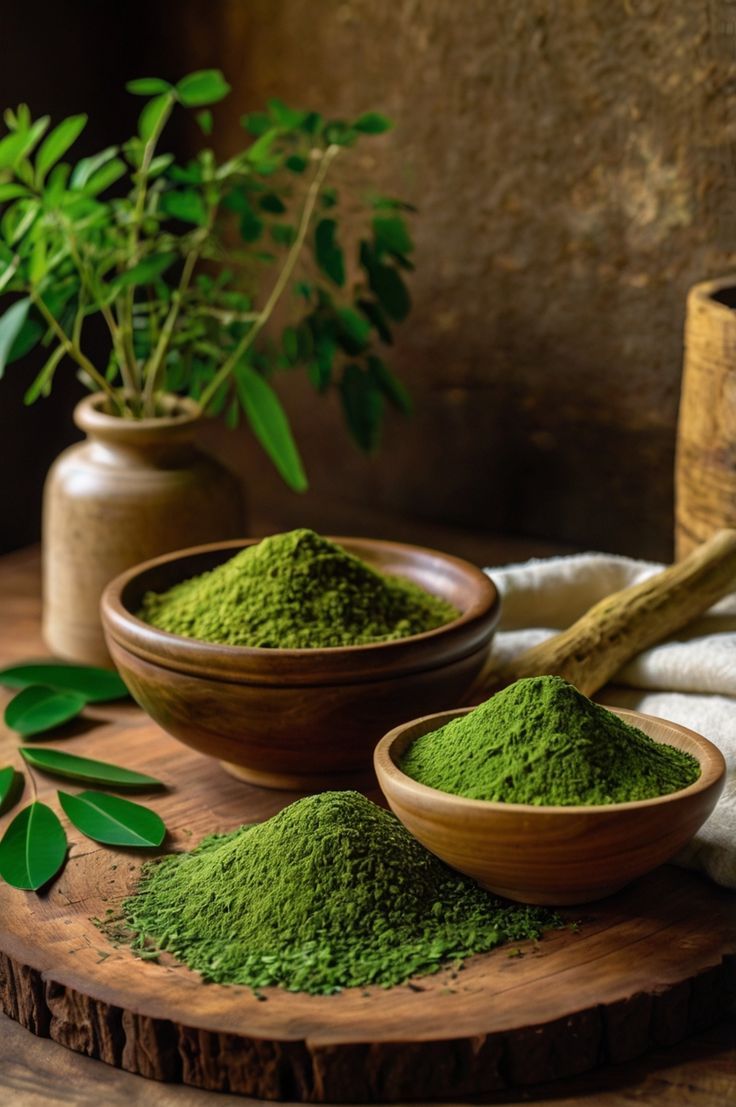 Moringa : la plante miracle encore méconnue qui pourrait remplacer le matcha dans votre routine bien-être