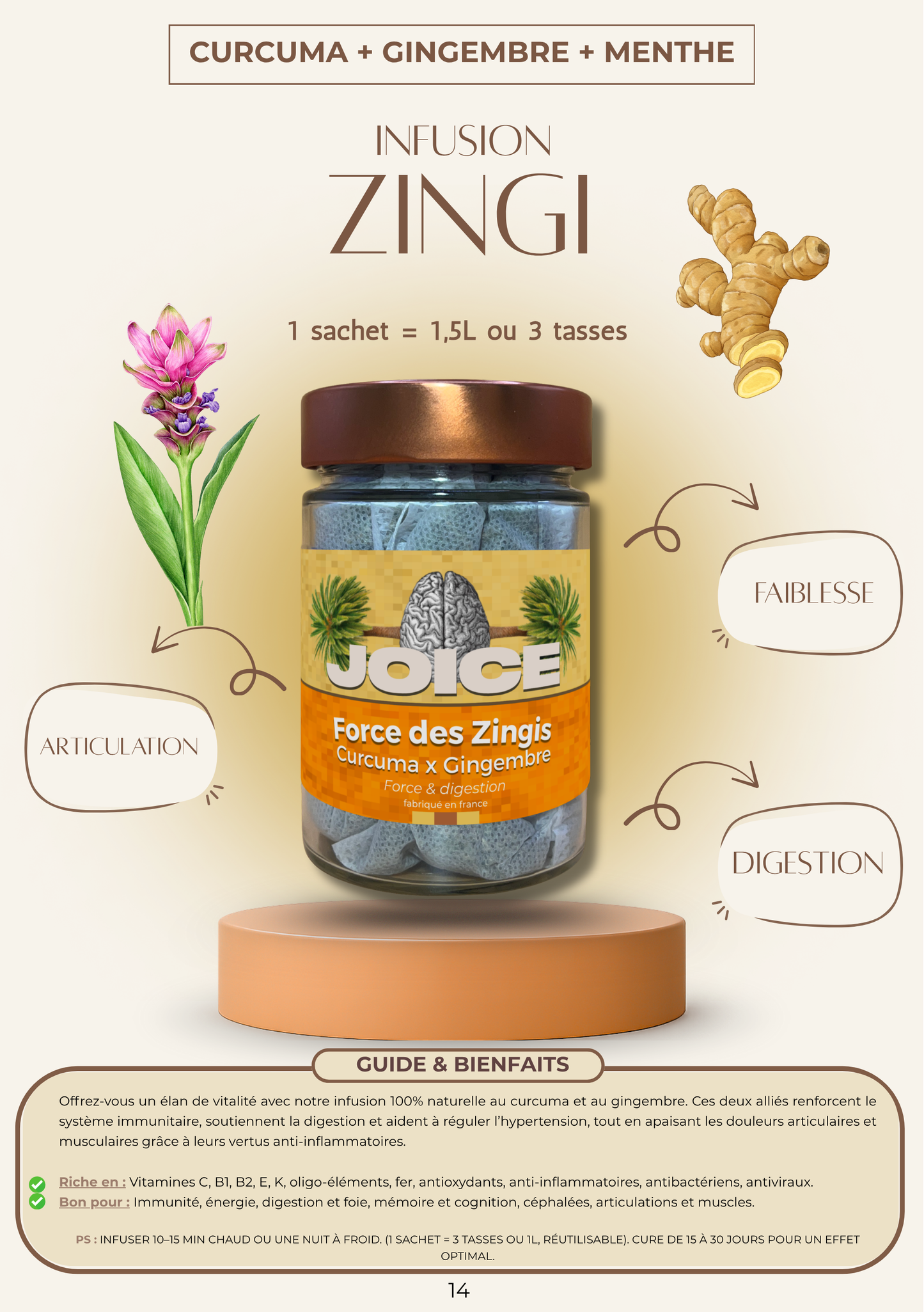 JOICE - Force des Zingi - en sachet