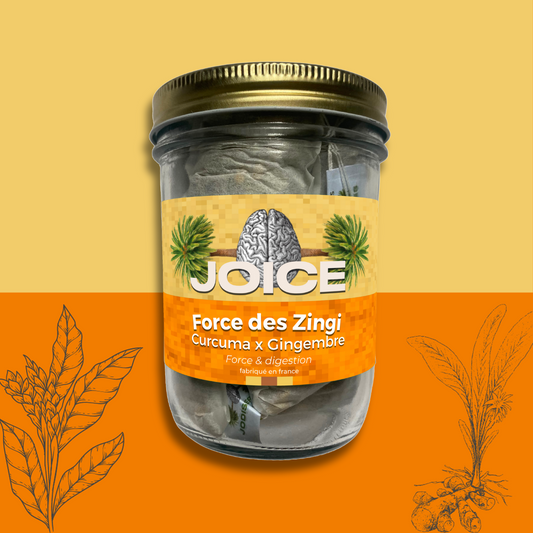 Force des Zingi - en sachet