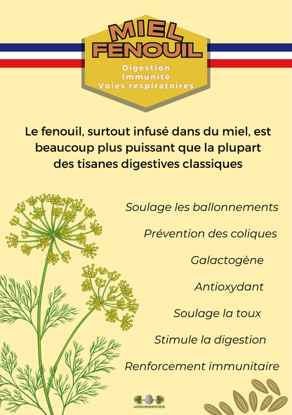 Miel Français de Fenouil - Soutien la digestion - Ballonnements