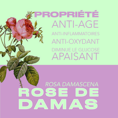 Tisane qui soulage l'endométriose et les règles douloureuses - JOICE - Infusion d'Ichor