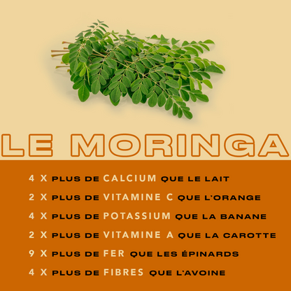 Tisane Moringa et Rose – Force de la Teranga – Antioxydant & Tonus
