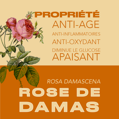 Tisane Moringa et Rose – Force de la Teranga – Antioxydant & Tonus